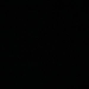 Meet your Posher, Alan ramirez